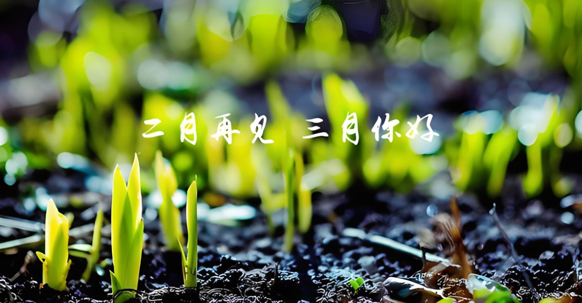 三合板廠家|金盛木業歡迎廣大客戶咨詢下單
