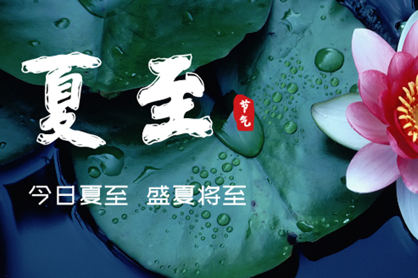 金盛木業 | 夏至綠意濃,蟬鳴伴清風