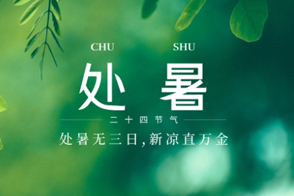金盛木業 | 未覺三夏盡,時序已新秋