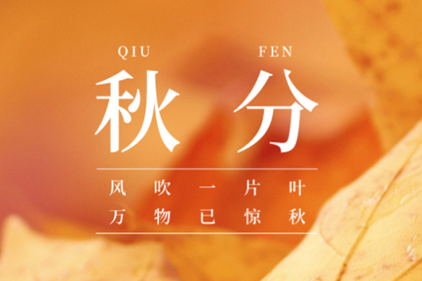 金盛木業 | 云淡風清揚,秋色可分長