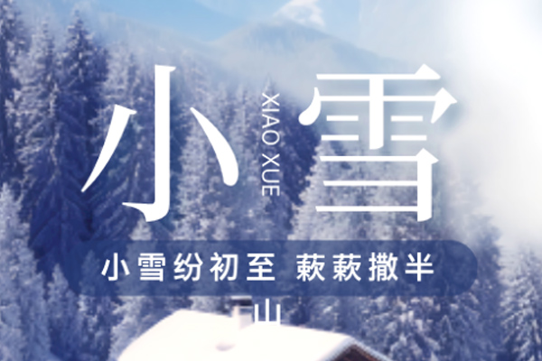 金盛木業 | 雨雪其霏 攜手同歸